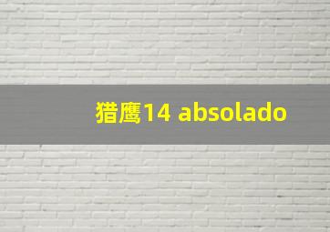 猎鹰14 absolado